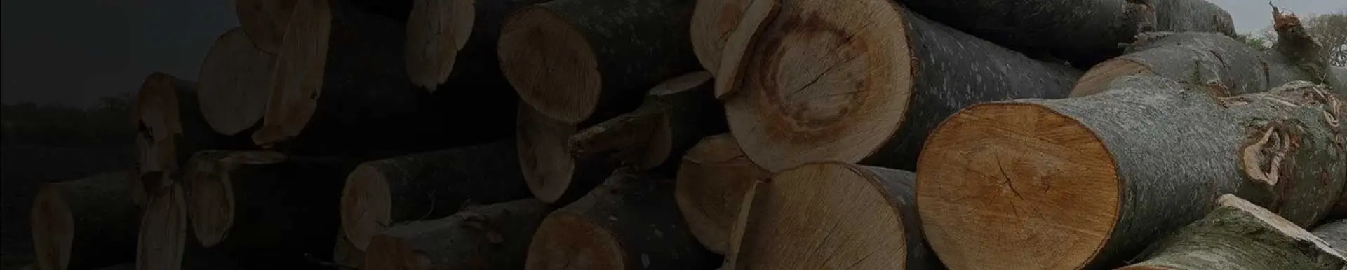 De beste plek voor hout op maat!